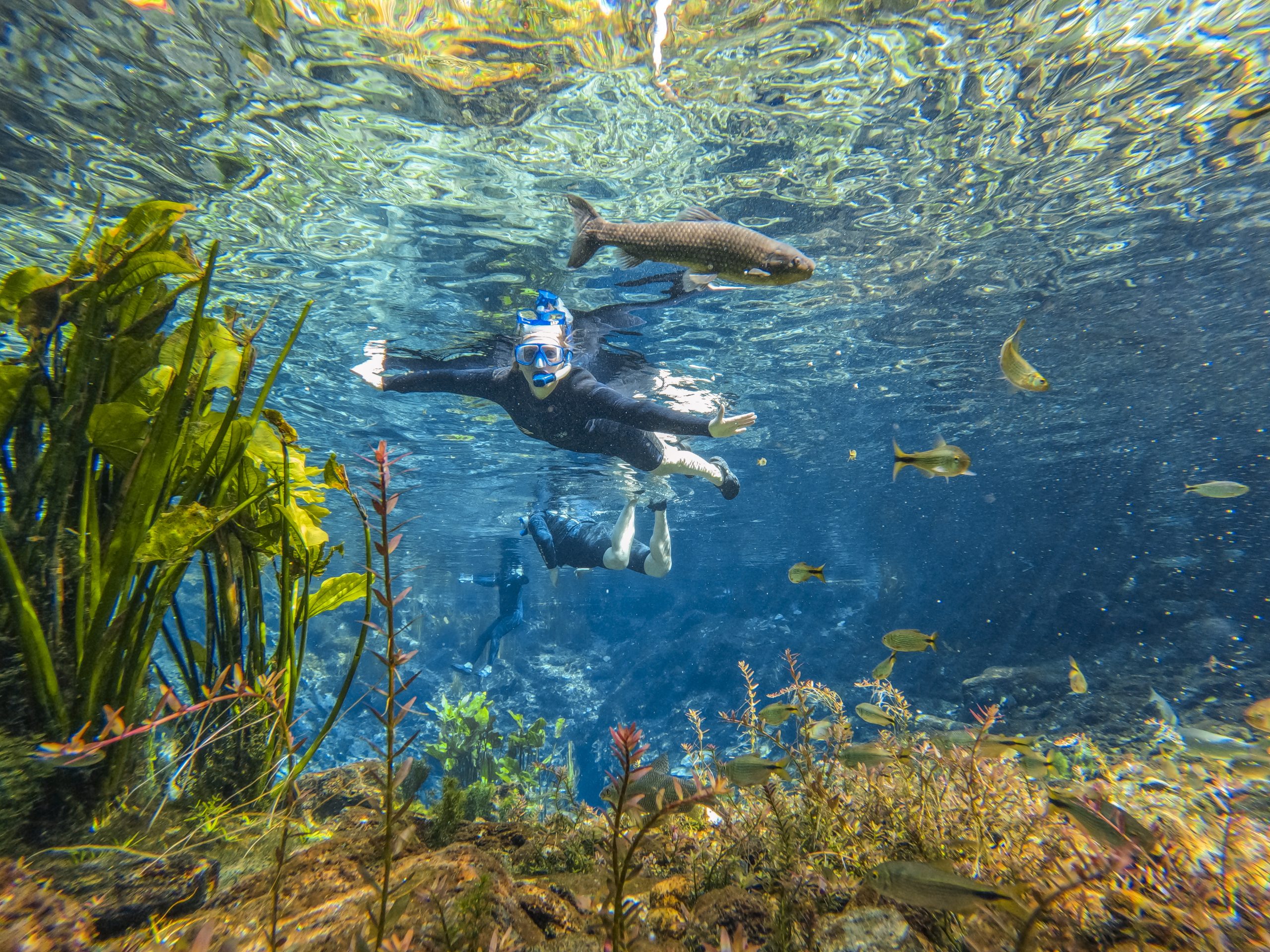 DCIM100GOPROGOPR2683.JPG