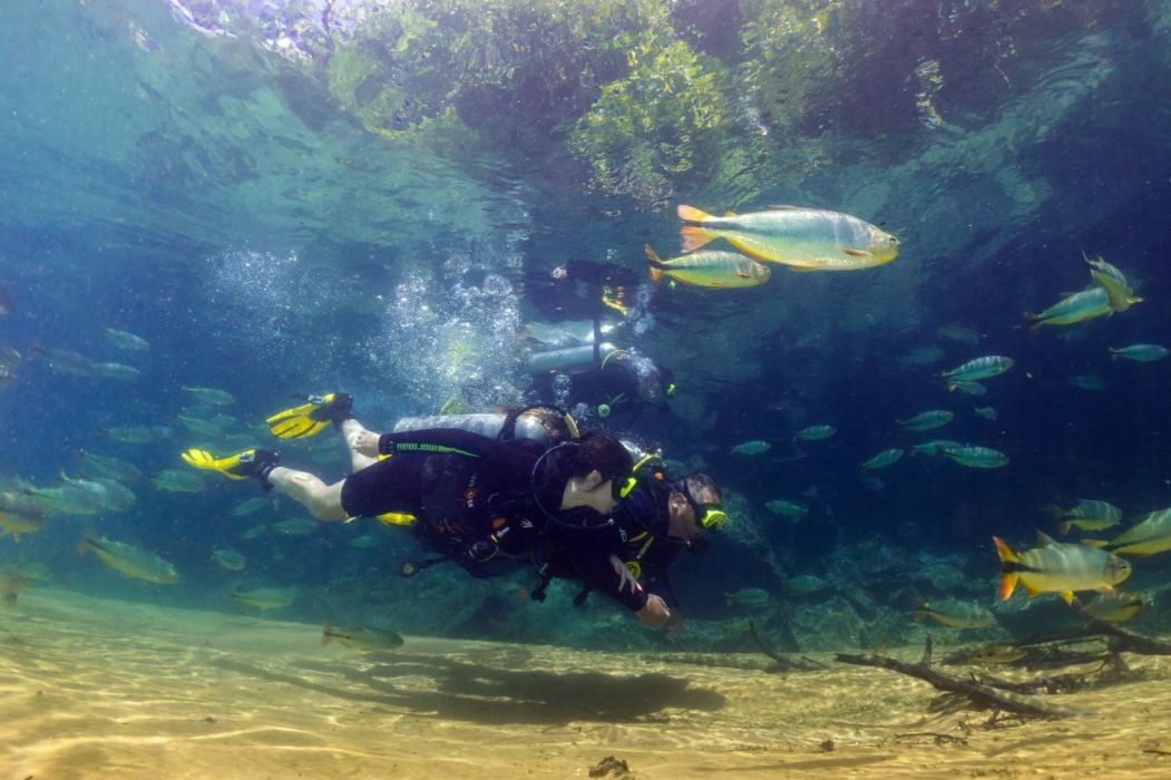 MERGULHO RIO DA PRATA 1