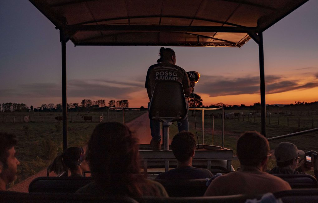 Pantanal Faz San Francisco MirandaMS - FogoLucasRamosMendes (4)