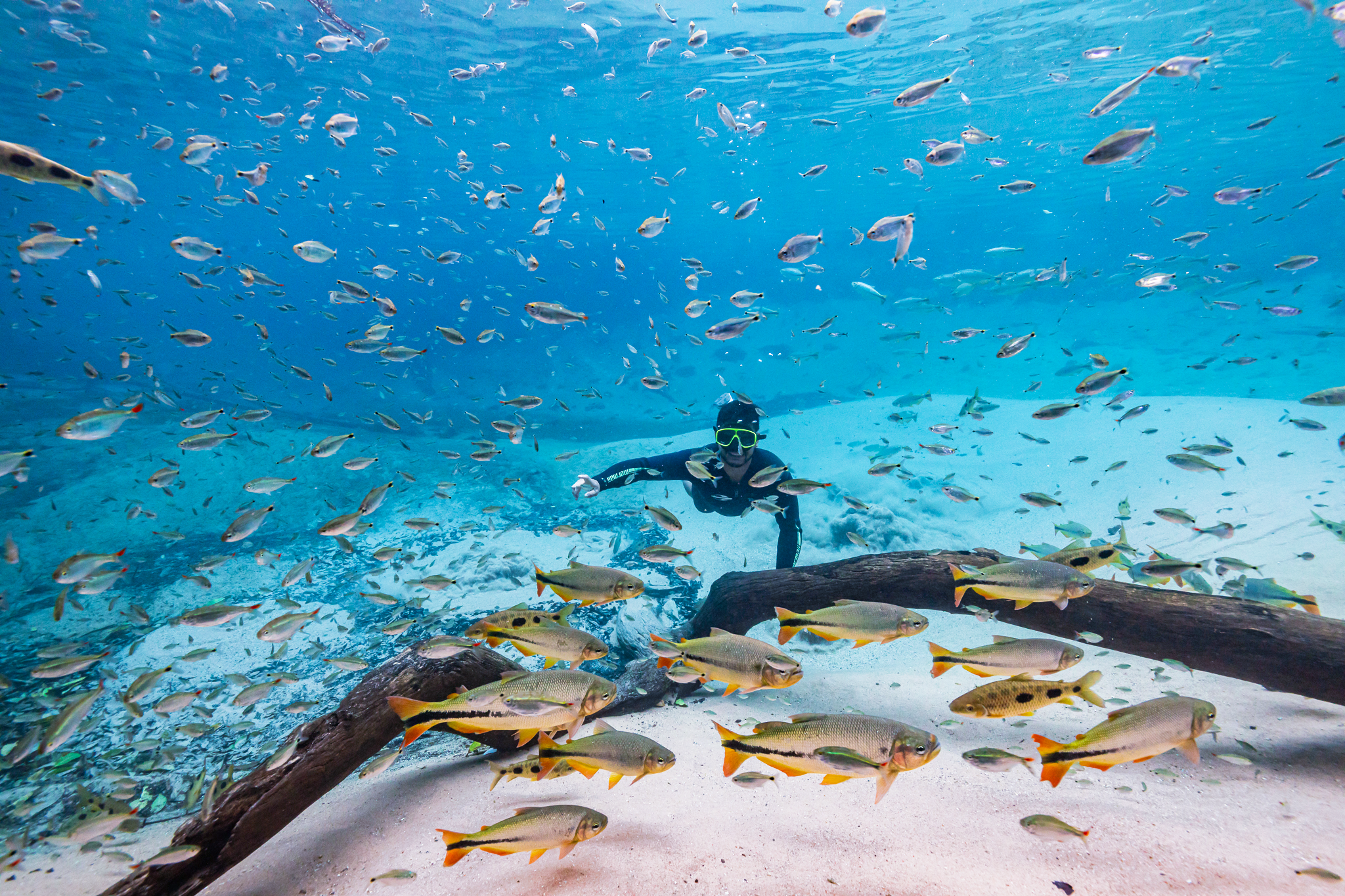 arquivos_experiencia-flutuao-peixes-natureza-bonito-jardim_479