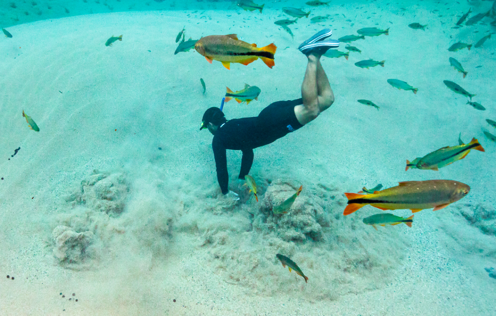 arquivos_vulcao-rio-da-prata-jardim-ms-ecoturismo-natureza-flutuacao_360