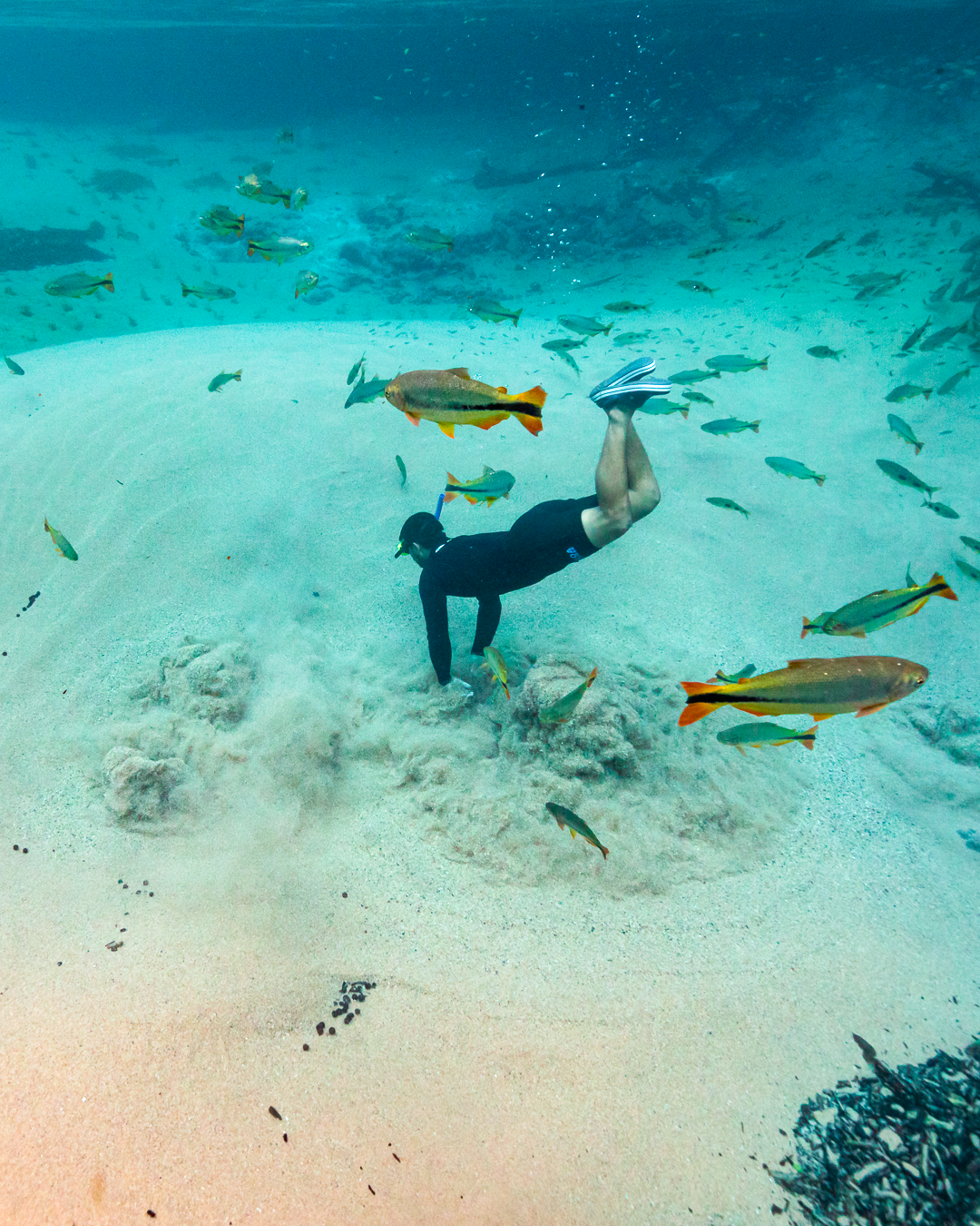 arquivos_vulcao-rio-da-prata-jardim-ms-ecoturismo-natureza-flutuacao_360