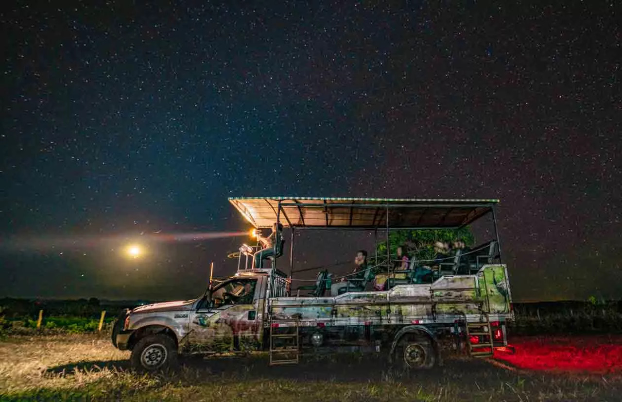 focagemnoturna-pantanal-fazenda-san-francisco-miranda-ms-3-2