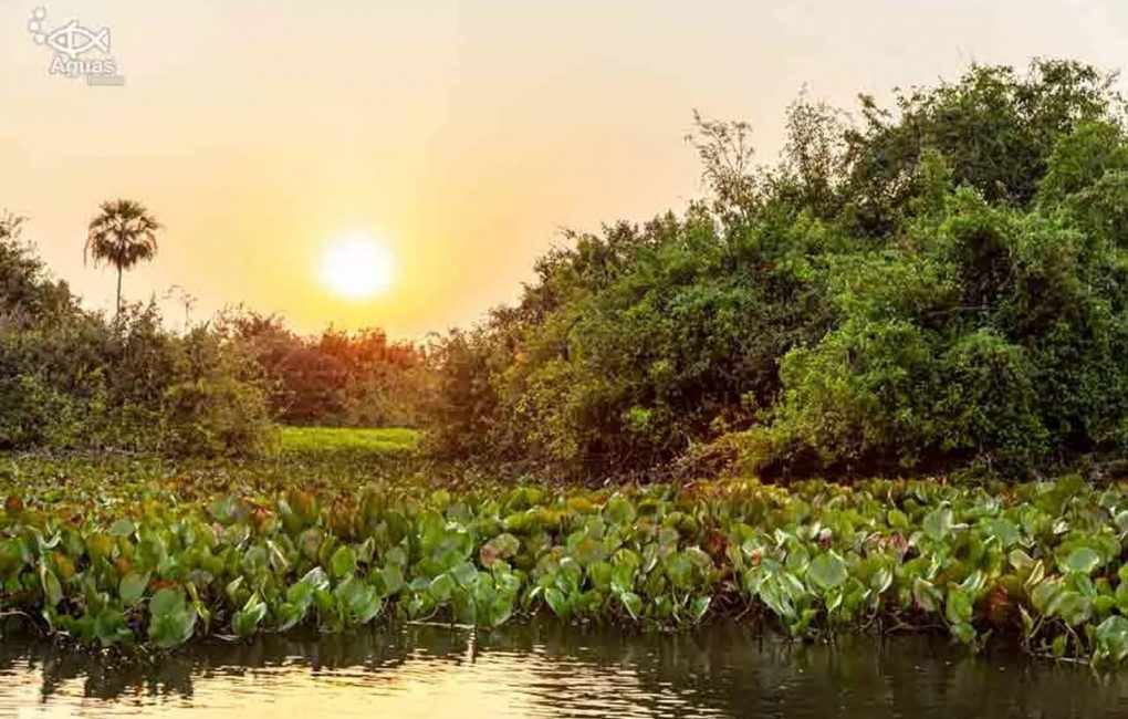 projetosalobra-4-cra-ditos-luciano-queiroz-out2020-1