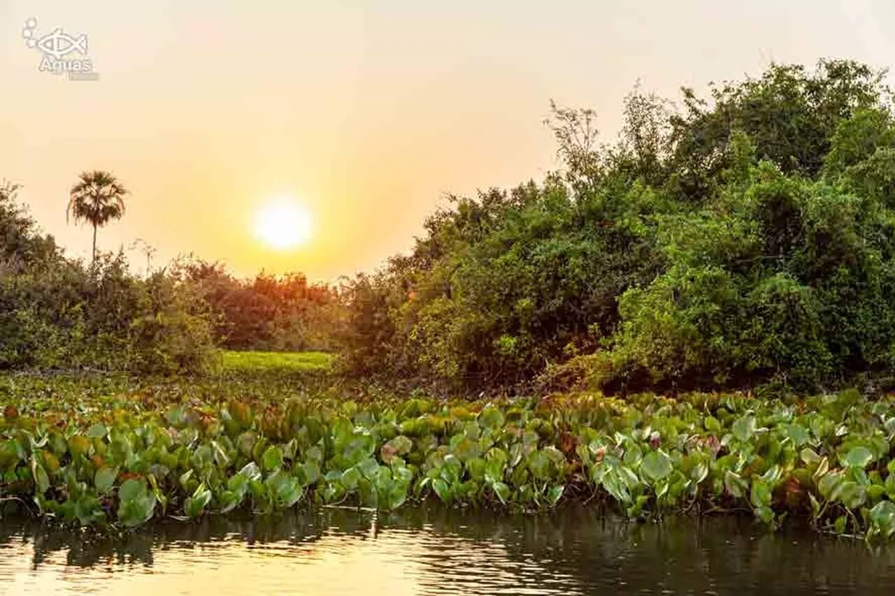 projetosalobra-4-cra-ditos-luciano-queiroz-out2020-1