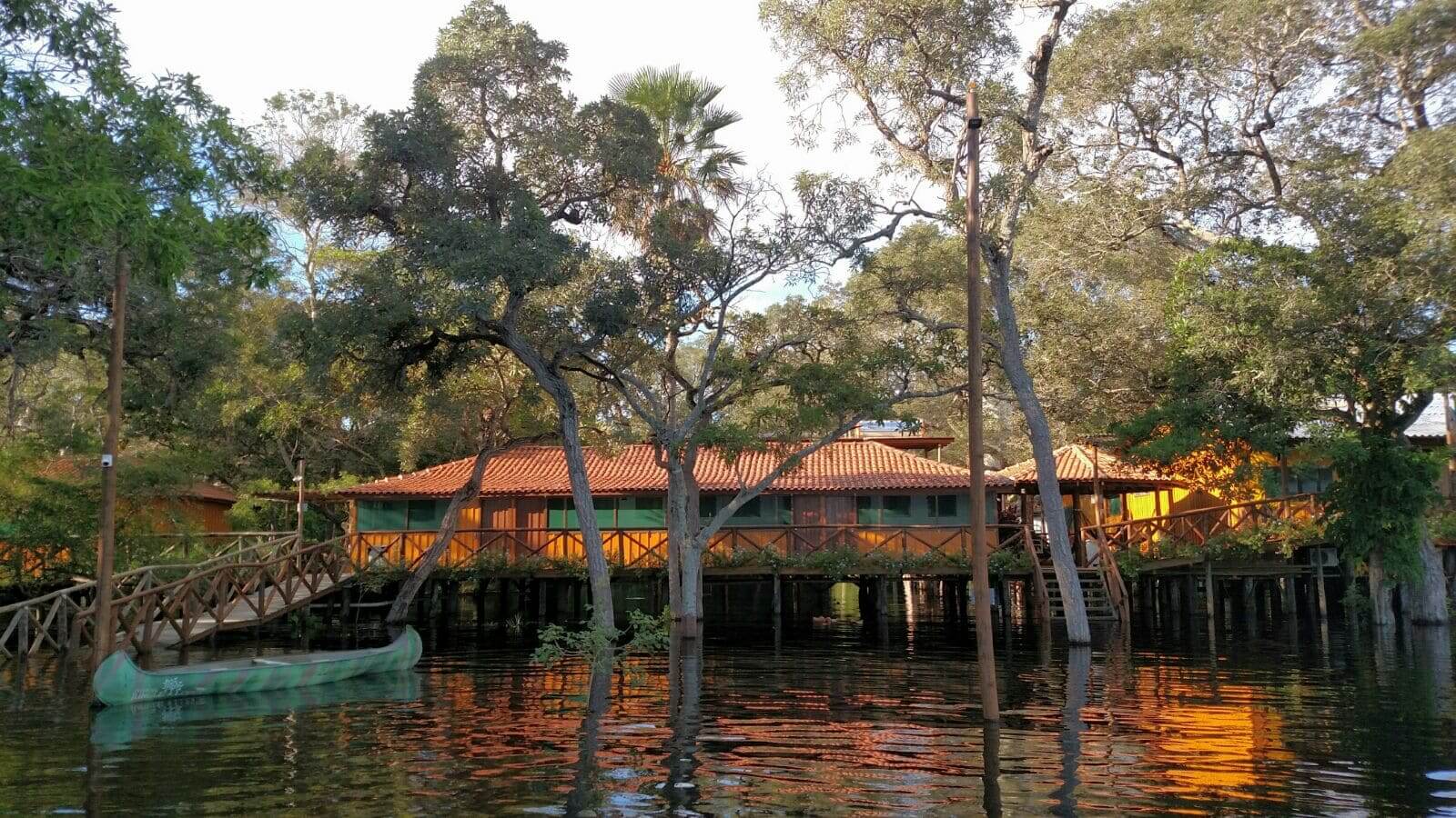 Jungle Lodge (1)