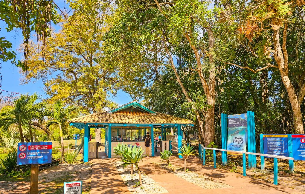 2025.07 Foto Praia da Figueira 002