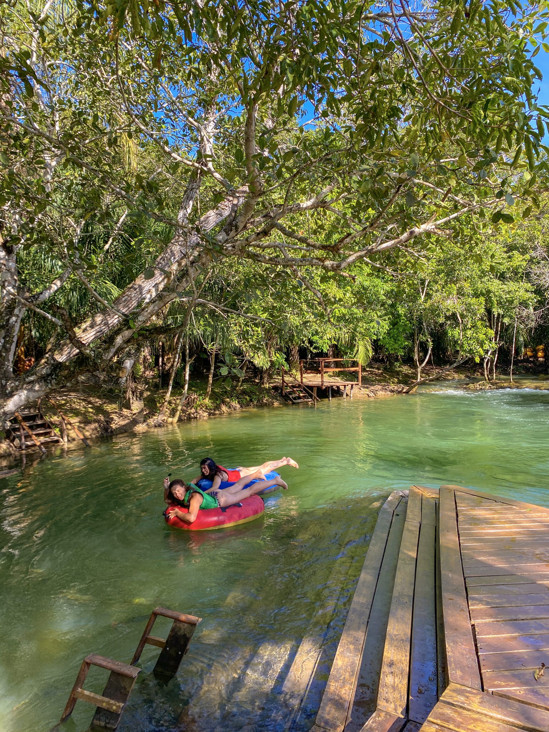 Créditos Multi-Frequência (2)