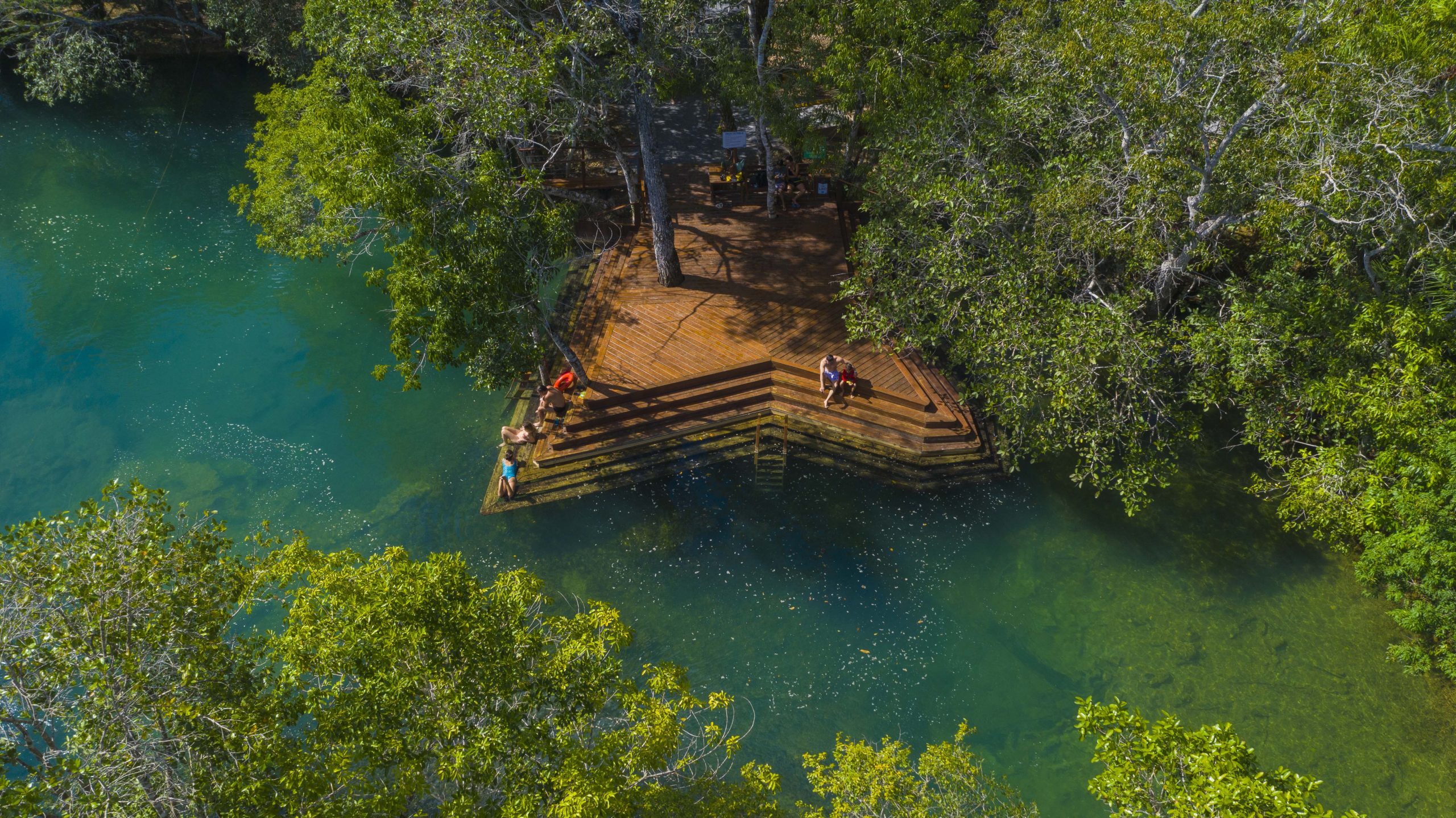 Créditos Multi-Frequência (3)