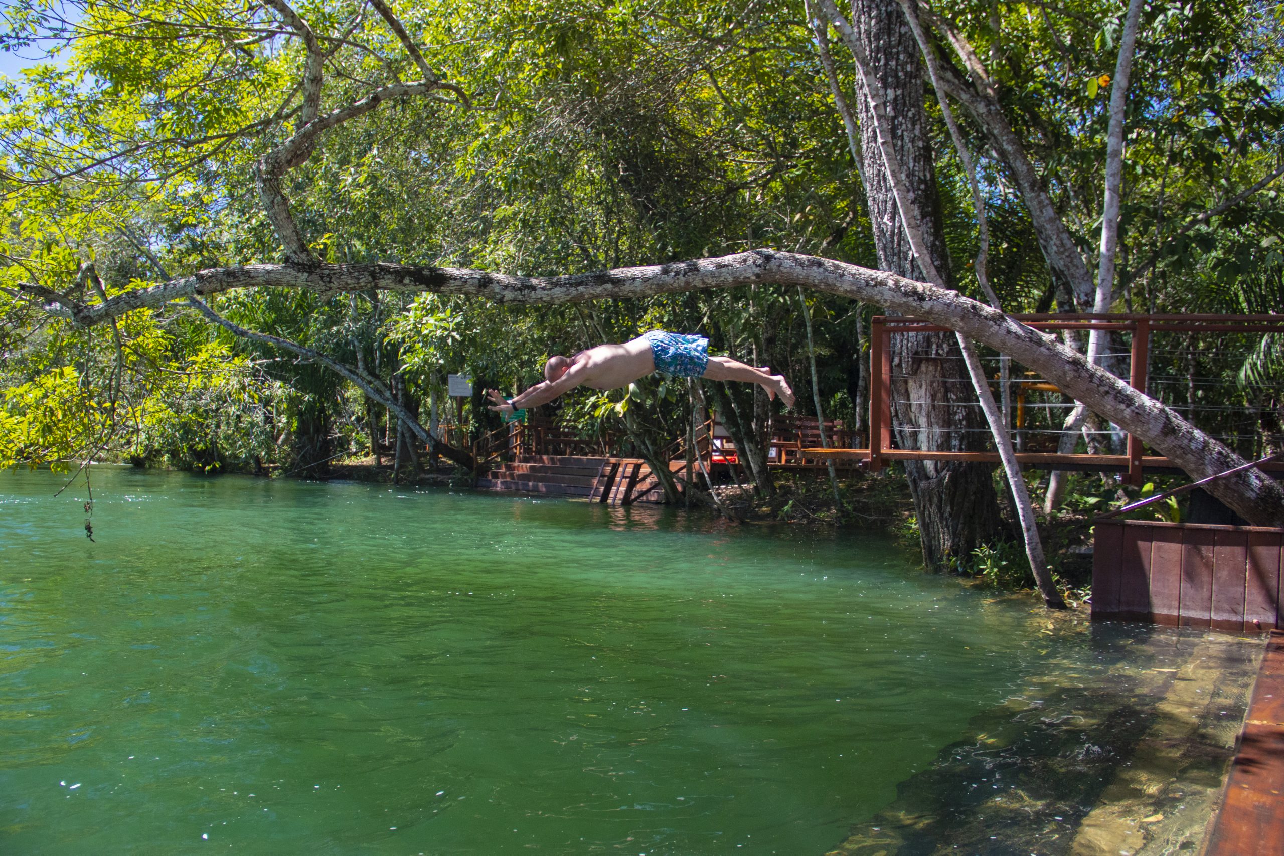 Créditos Multi-Frequência (4)