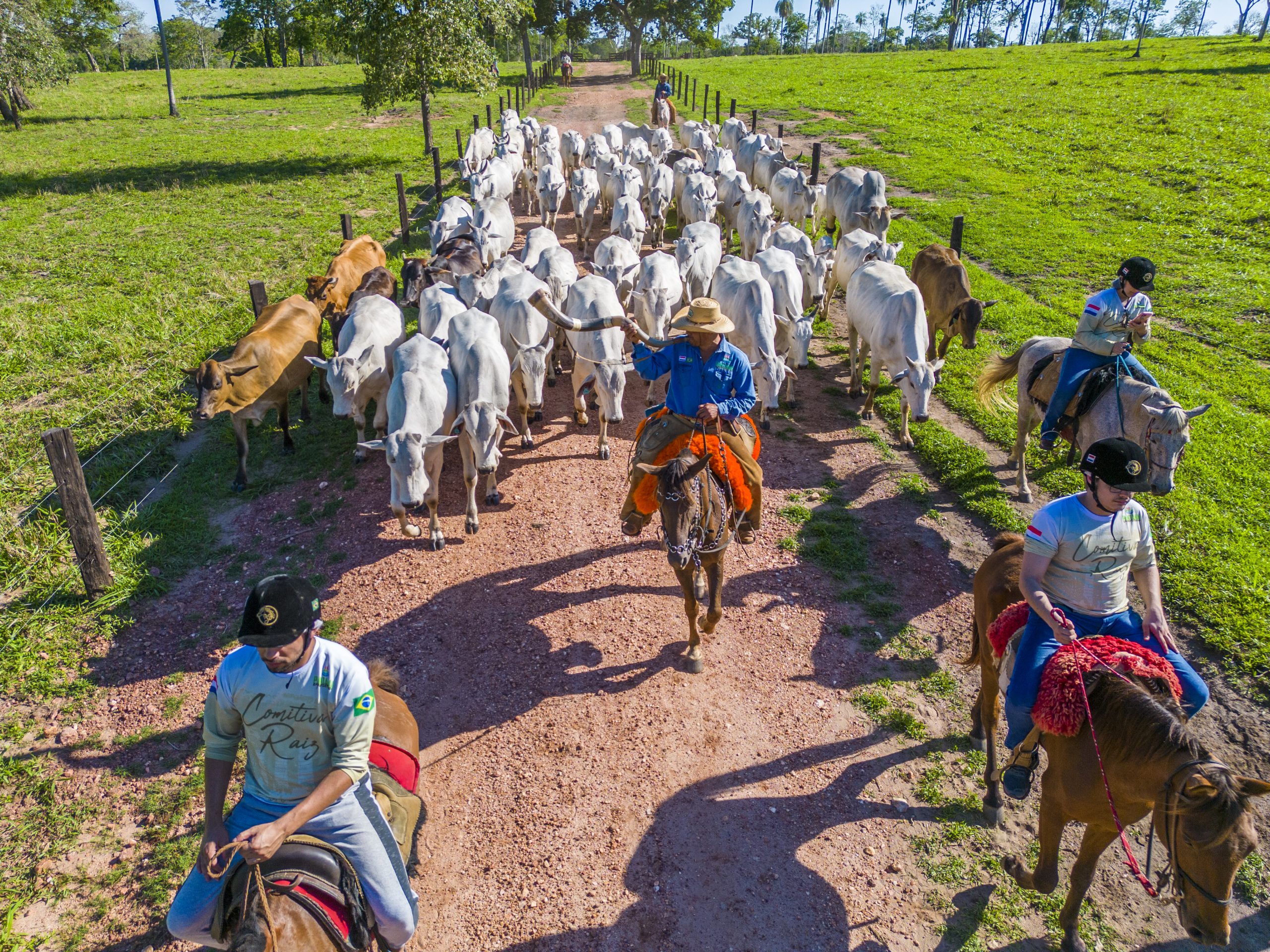 Você sabe o que é uma Comitiva Pantaneira e qual a sua importância para o  Pantanal ? - MS Por Favor