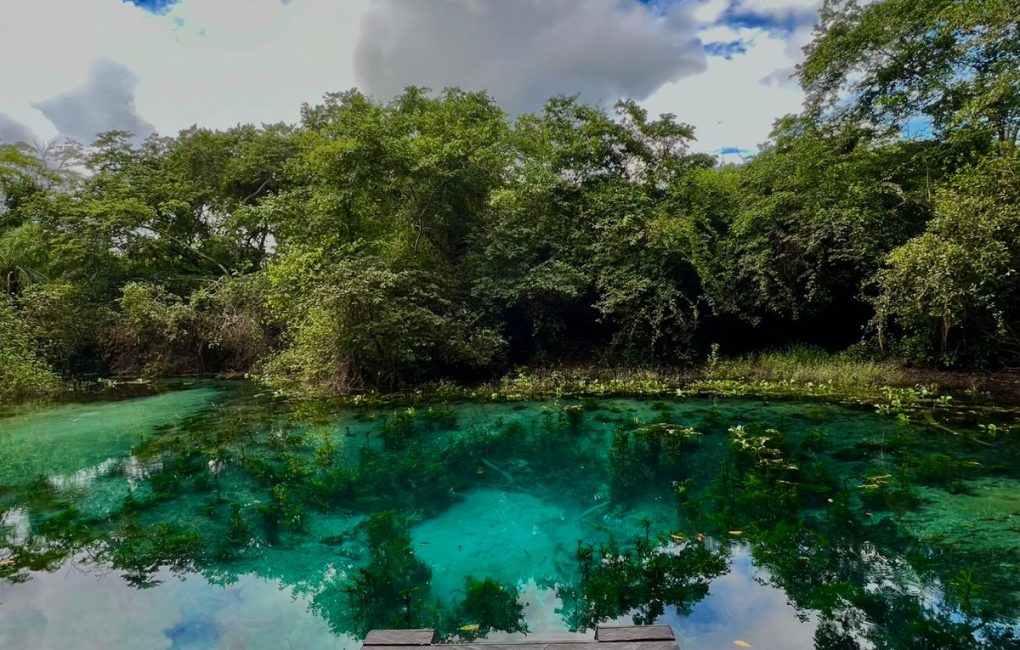 WhatsApp Image 2026-02-26 at 17.34.33