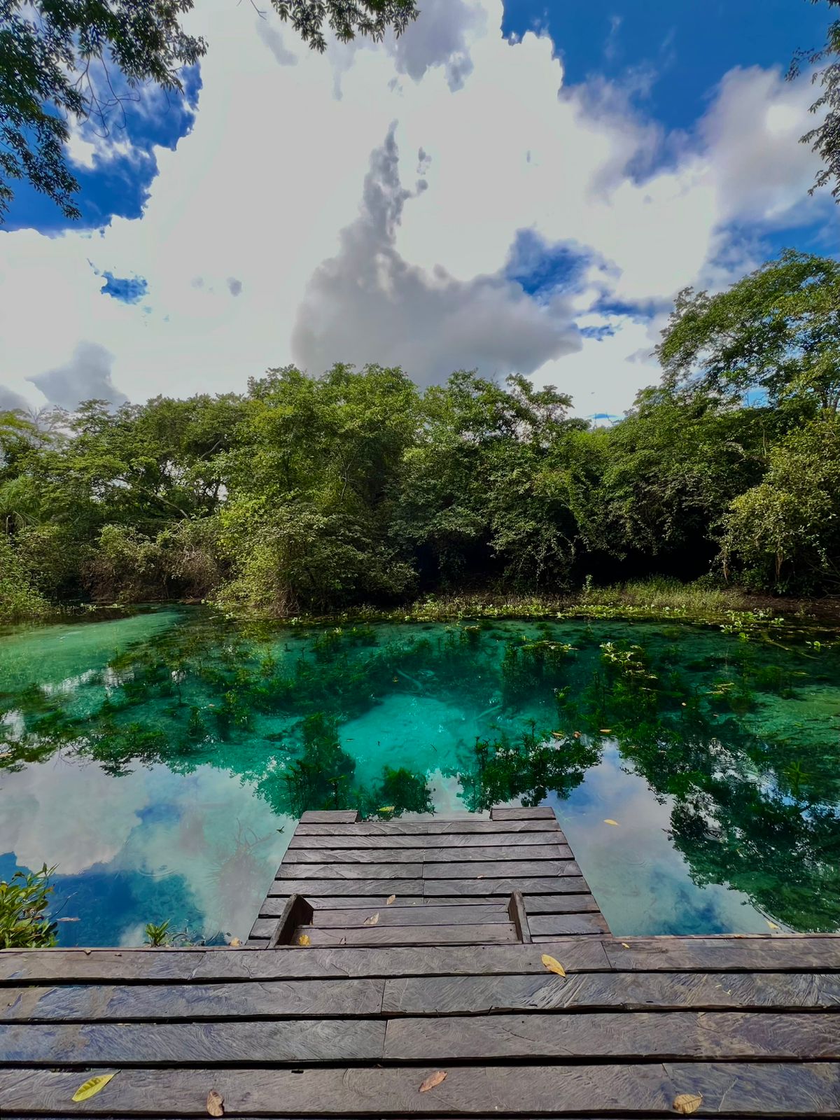 WhatsApp Image 2026-02-26 at 17.34.33