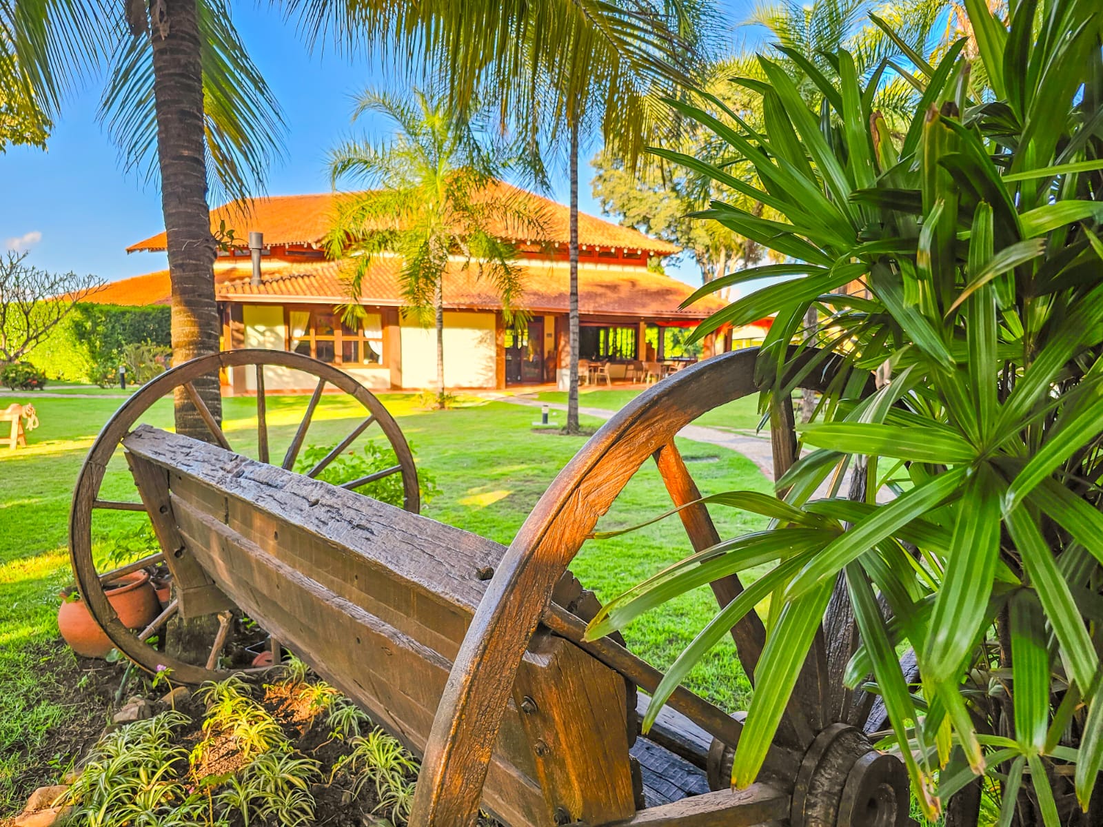 WhatsApp Image 2026-02-27 at 08.18.05 (1)