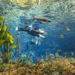 DCIM100GOPROGOPR2683.JPG