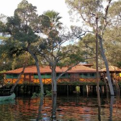 Jungle Lodge (1)