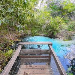 Rio Sucuri (1)