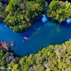 bote-no-porto-da-ilha-5-1