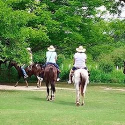 cavalgada-no-parque-ecola-gico-do-rio-formoso-3-1