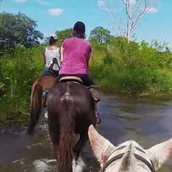 cavalgada-no-parque-ecola-gico-do-rio-formoso-6-1