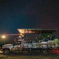 focagemnoturna-pantanal-fazenda-san-francisco-miranda-ms-3-2