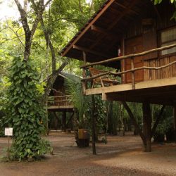 image (12)