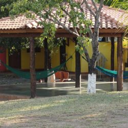 image (2)