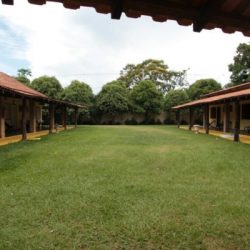 image (6)