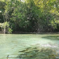 jardim-ecopark-4